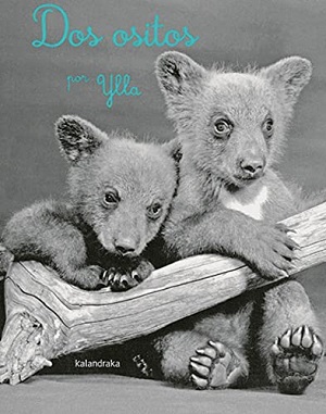 De las notas al diccionario (123)