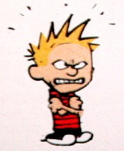 Efectos de las sucesivas leyes educativas