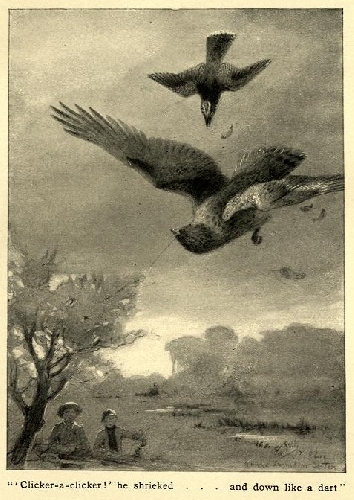 Libros de Ernest Thompson Seton