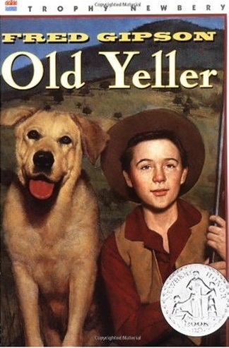 Mi compañero Gruñón