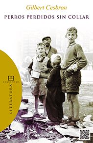 Perros perdidos sin collar