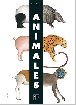 Animales, Pájaros y Océanos