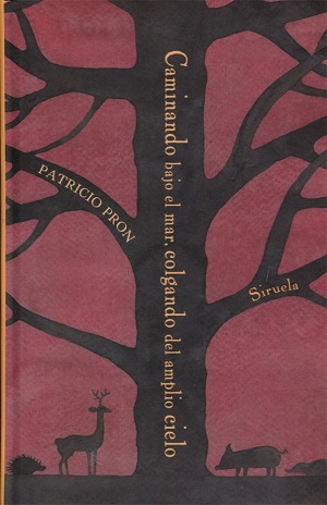 Caminando bajo el mar, colgando del amplio cielo